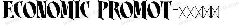 ECONOMIC PROMOT字体转换